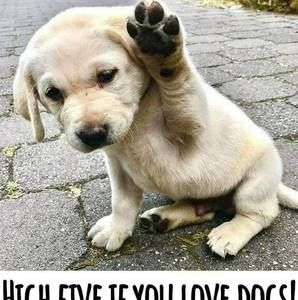 Meet your Posher, Robert